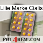 Lily Brand Cialis new10